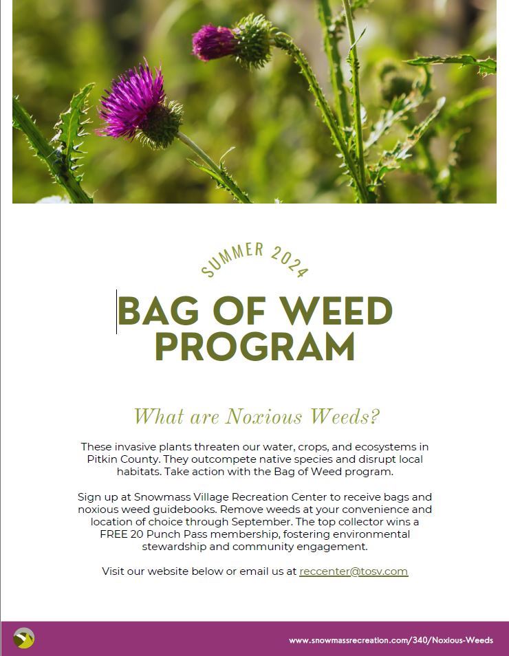 2024 Noxious Weeds Program